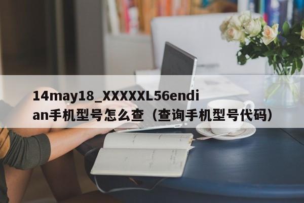 14may18_XXXXXL56endian手机型号怎么查(查询手机型号代码)