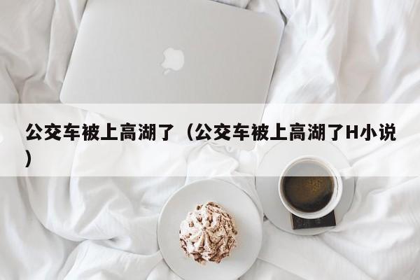 公交车被上高湖了(公交车被上高湖了H小说)