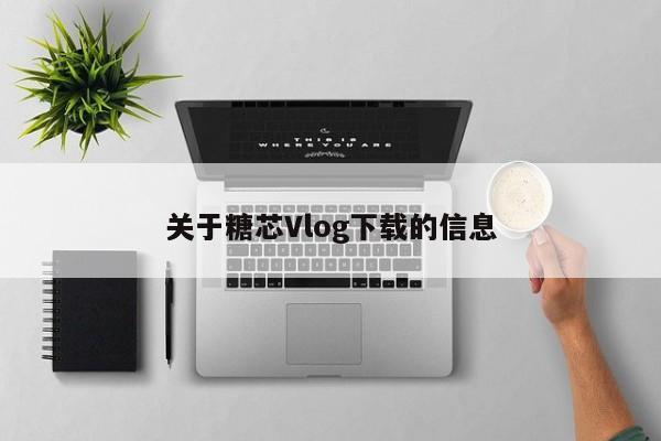 关于糖芯Vlog下载的信息