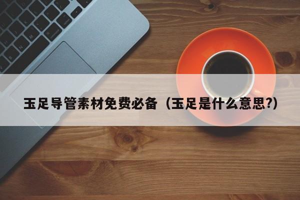 玉足导管素材免费必备(玉足是什么意思?)