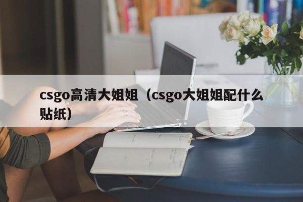 csgo高清大姐姐(csgo大姐姐配什么贴纸)
