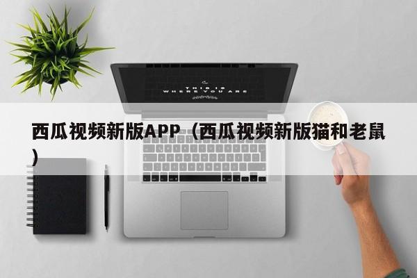 西瓜视频新版APP(西瓜视频新版猫和老鼠)