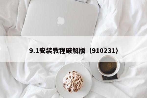9.1安装教程破解版(910231)