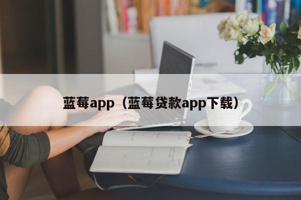 蓝莓app(蓝莓贷款app下载)