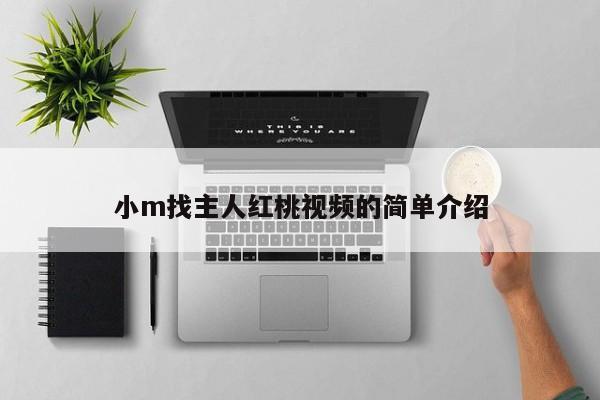 小m找主人红桃视频的简单介绍