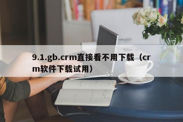 9.1.gb.crm直接看不用下载(crm软件下载试用)