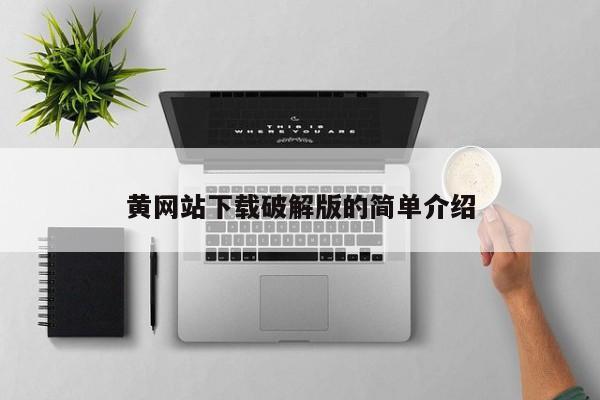 黄网站下载破解版的简单介绍