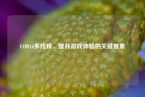 COD16多线程，提升游戏体验的关键要素