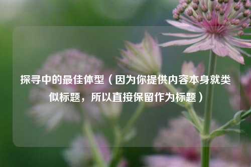 探寻中的最佳体型（因为你提供内容本身就类似标题，所以直接保留作为标题）
