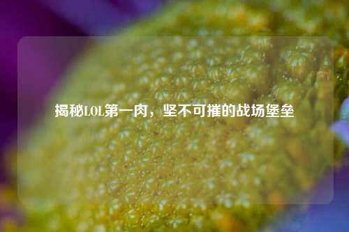 揭秘LOL第一肉，坚不可摧的战场堡垒