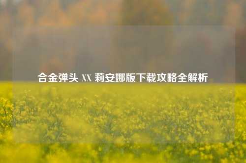 合金弹头 XX 莉安娜版下载攻略全解析