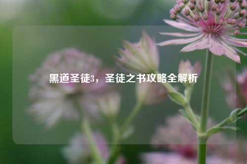 黑道圣徒3，圣徒之书攻略全解析