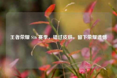 王者荣耀 S16 赛季，错过皮肤，留下荣耀遗憾