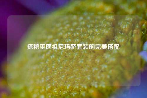 探秘巫医祖尼玛萨套装的完美搭配