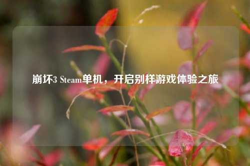 崩坏3 Steam单机，开启别样游戏体验之旅
