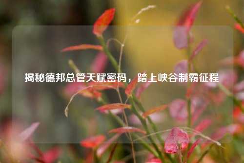 揭秘德邦总管天赋密码,踏上峡谷制霸征程
