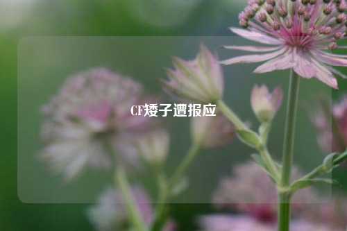 CF矮子遭报应