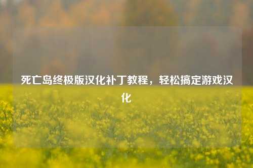 死亡岛终极版汉化补丁教程，轻松搞定游戏汉化