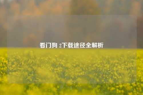 看门狗 2下载途径全解析