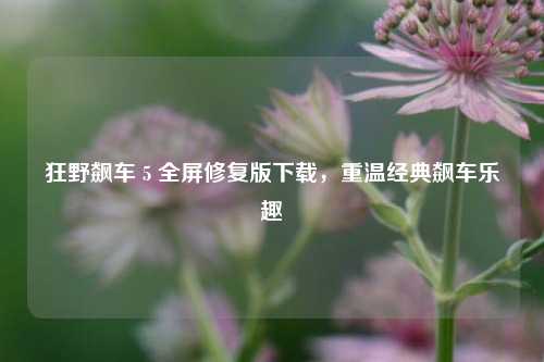 狂野飙车 5 全屏修复版下载，重温经典飙车乐趣