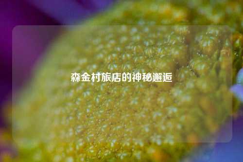 森金村旅店的神秘邂逅