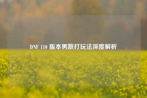 DNF 110 版本男散打玩法深度解析