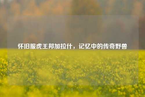 怀旧服虎王邦加拉什,记忆中的传奇野兽