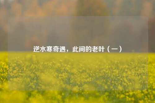 逆水寒奇遇，此间的老叶（一）