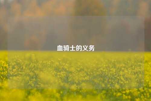 血骑士的义务