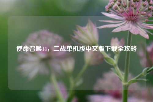 使命召唤14,二战单机版中文版下载全攻略