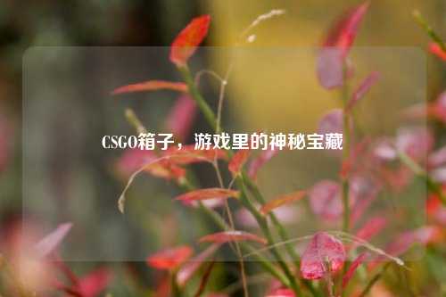 CSGO箱子，游戏里的神秘宝藏