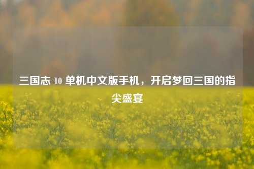 三国志 10 单机中文版手机，开启梦回三国的指尖盛宴
