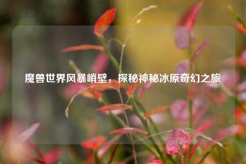 魔兽世界风暴峭壁，探秘神秘冰原奇幻之旅