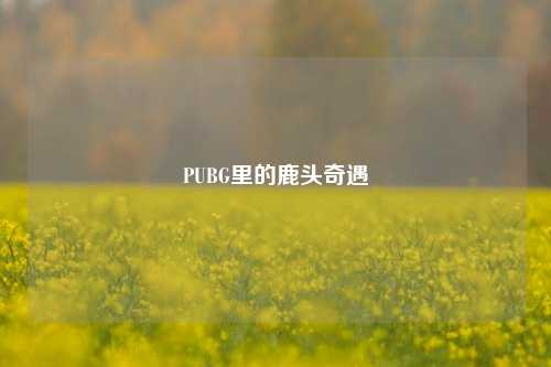 PUBG里的鹿头奇遇