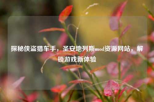 探秘侠盗猎车手，圣安地列斯mod资源网站，解锁游戏新体验