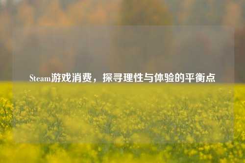 Steam游戏消费,探寻理性与体验的平衡点