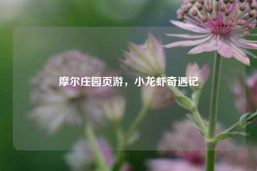 摩尔庄园页游，小龙虾奇遇记