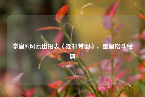 拳皇97风云出招表（摇杆带图），重温格斗经典