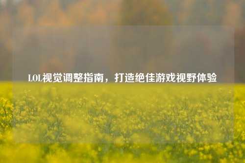 LOL视觉调整指南，打造绝佳游戏视野体验