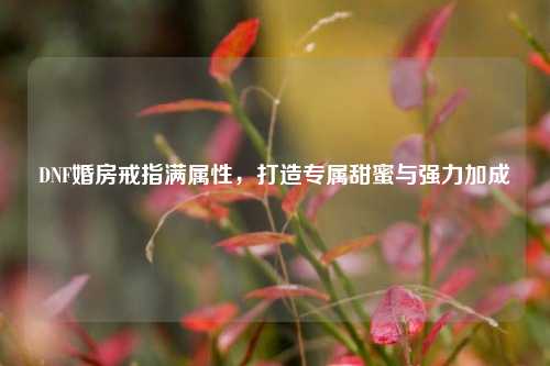 DNF婚房戒指满属性，打造专属甜蜜与强力加成