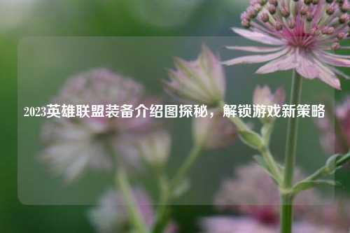 2023英雄联盟装备介绍图探秘，解锁游戏新策略