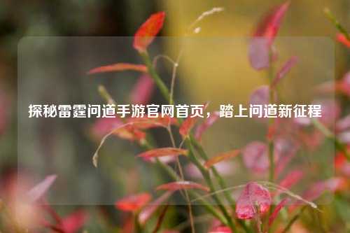 探秘雷霆问道手游官网首页，踏上问道新征程