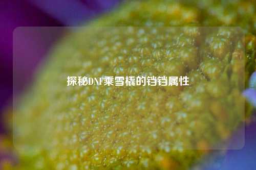 探秘DNF乘雪橇的铛铛属性