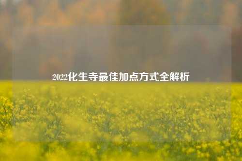 2022化生寺最佳加点方式全解析