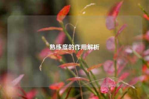 熟练度的作用解析