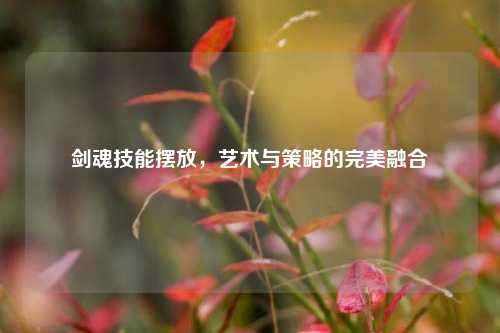 剑魂技能摆放，艺术与策略的完美融合