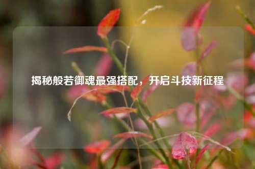 揭秘般若御魂最强搭配，开启斗技新征程