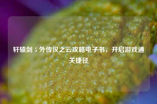 轩辕剑 5 外传汉之云攻略电子书,开启游戏通关捷径