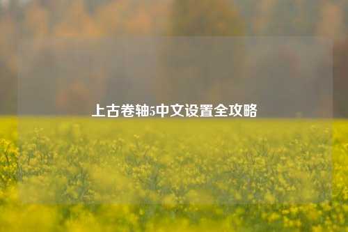上古卷轴5中文设置全攻略
