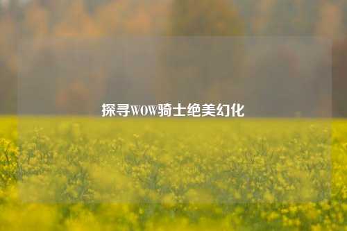 探寻WOW骑士绝美幻化